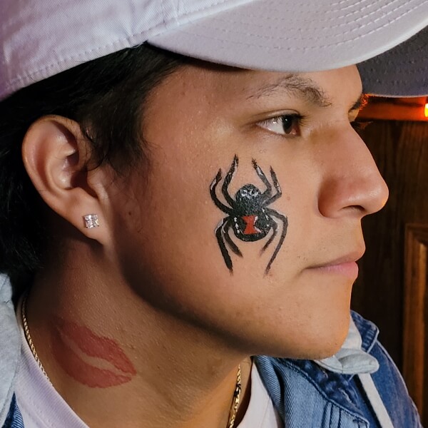 Face painting examples by Magic Dave's team in Illinois and Wisconsin